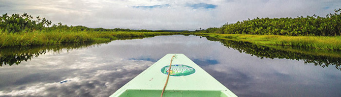 © Jalvoyages - En mode découverte aux marais de Kaw