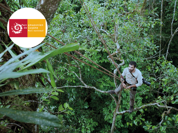 © Guillaume Longin / Ecologue travaillant en canopée © Guillaume Longin / Ecologue travaillant en canopée