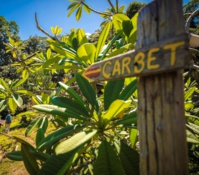 Office de Tourisme de l’Ouest Guyanais Office de Tourisme de l’Ouest Guyanais