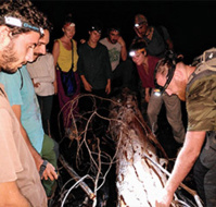 Office de Tourisme de l’Ouest Guyanais Office de Tourisme de l’Ouest Guyanais