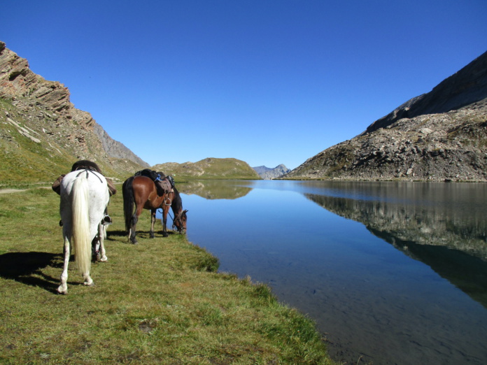 Un tourisme proche des valeurs du moment : responsable et vantant la mobilité douche (©Les Sabots de Venus) Un tourisme proche des valeurs du moment : responsable et vantant la mobilité douche (©Les Sabots de Venus)