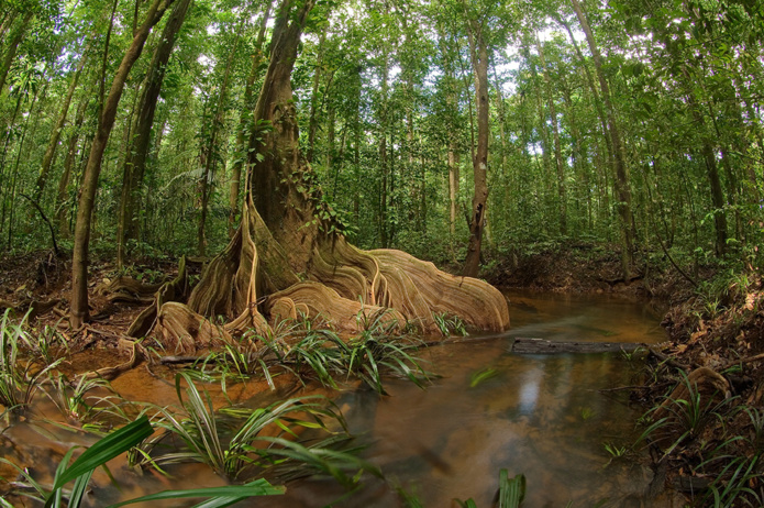 © CTG-Shutterstock /Moutouchi rivière