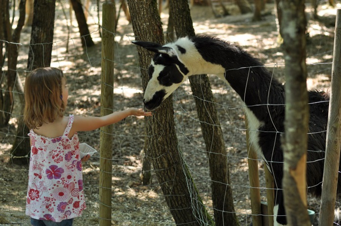 Un parc animalier devenu progressivement parc d'attractions (©AnimaParc)