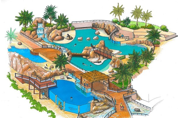 Les otaries de Marineland pourront prchainement profiter d'un nouveau bassin de 1 600 m² - DR Les otaries de Marineland pourront prchainement profiter d'un nouveau bassin de 1 600 m² - DR