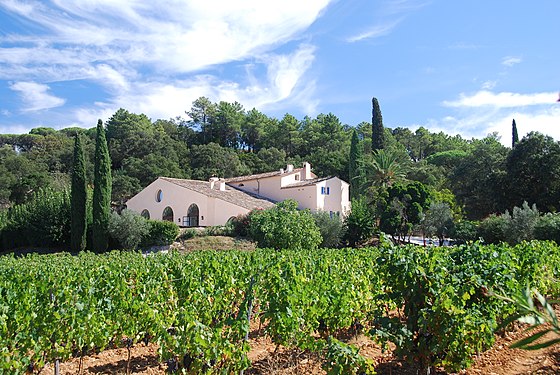 Vignoble de Saint-Tropez (©Wikiwand)