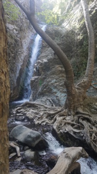 Caledonia waterfall - Photo Creative Marine P. Caledonia waterfall - Photo Creative Marine P.