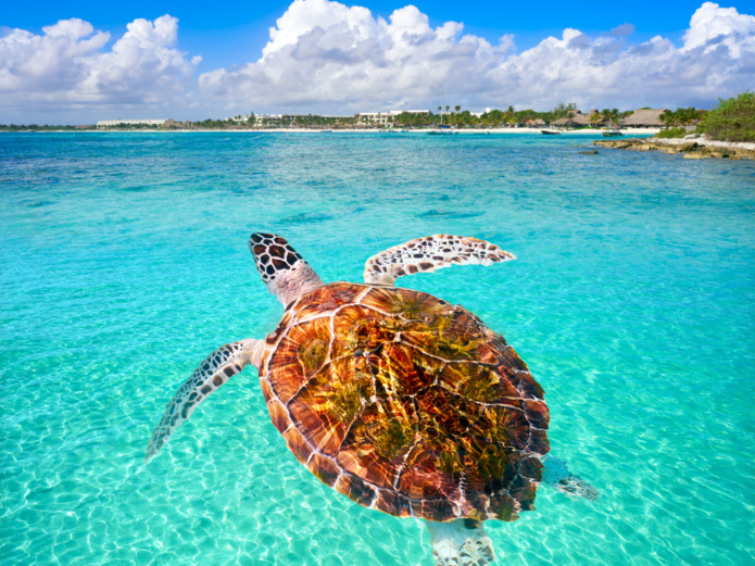 Voyage au Mexique : toutes les infos à savoir