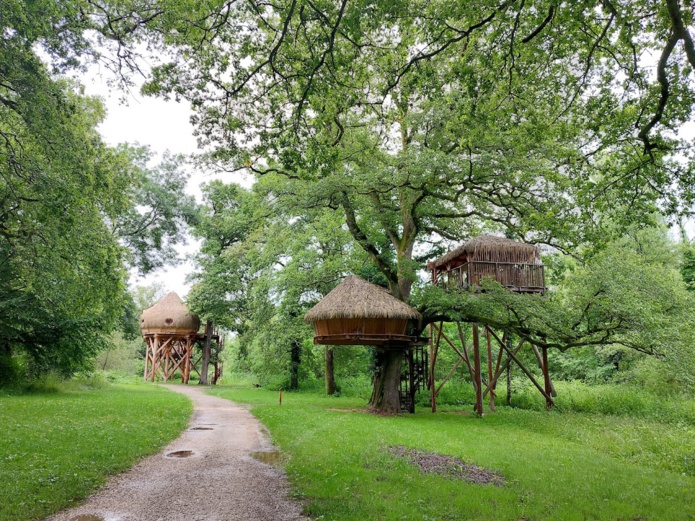 La version luxe des cabanes de Robinson (©Hôtes insolites) La version luxe des cabanes de Robinson (©Hôtes insolites)