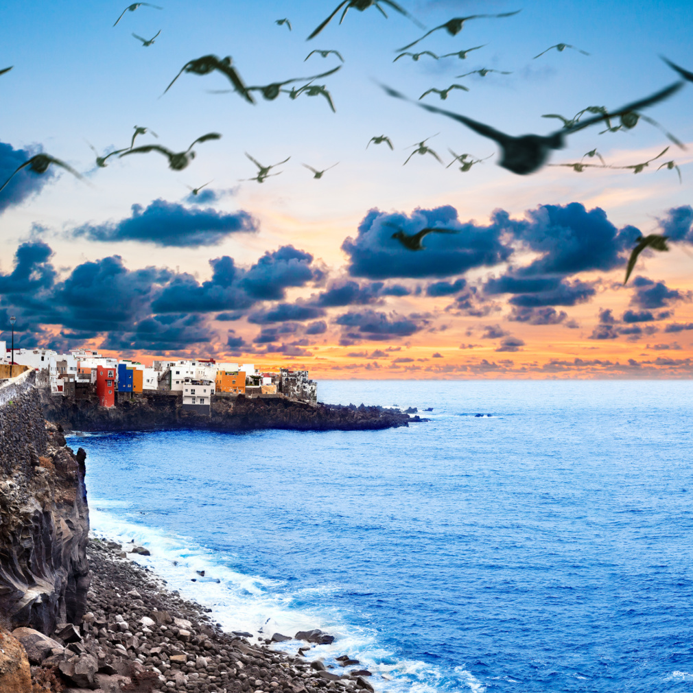 Les îles Canaries : visites et activités incontournables