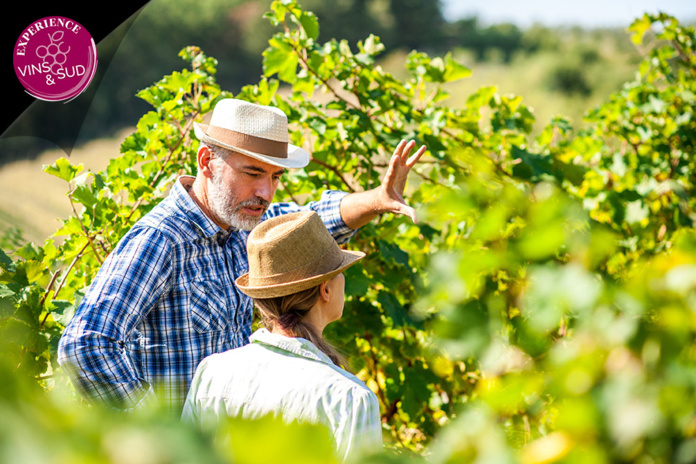 Rencontre avec les vignerons (©Azureva)