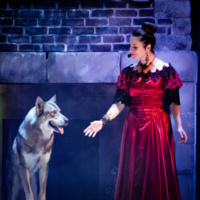 Loire-Atlantique : le Legendia Parc de Frossay ouvre ses premiers lodges Loire-Atlantique : le Legendia Parc de Frossay ouvre ses premiers lodges