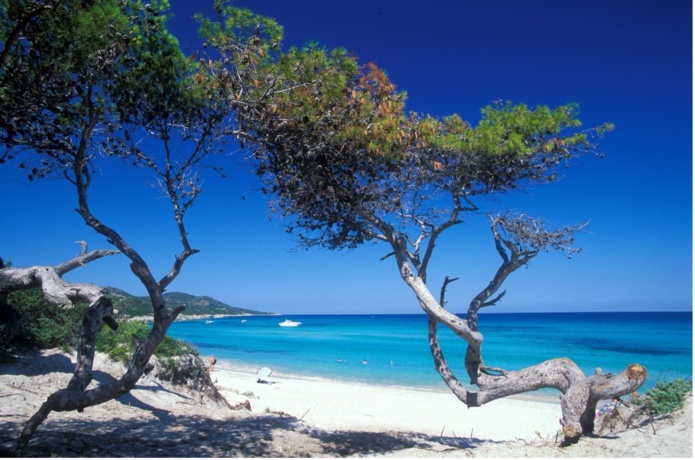 Corse : la vente continue en dernière minute ! Corse : la vente continue en dernière minute !