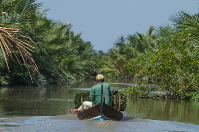 Kappa Club soutient Yagasu, une association indonésienne de préservation de l’environnement, dans la restauration de 5 000 hectares de mangrove - DR : Kappa Club Kappa Club soutient Yagasu, une association indonésienne de préservation de l’environnement, dans la restauration de 5 000 hectares de mangrove - DR : Kappa Club