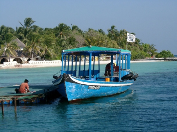 La case de l'Oncle Dom : un paradis de plus en plus proche de l'enfer… La case de l'Oncle Dom : un paradis de plus en plus proche de l'enfer…