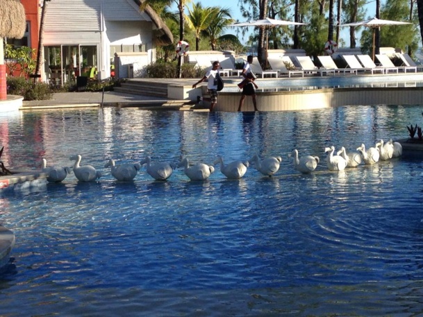 Kuoni’s Cup : le TO emmène 28 agents de voyages à l'Ile Maurice Kuoni’s Cup : le TO emmène 28 agents de voyages à l'Ile Maurice