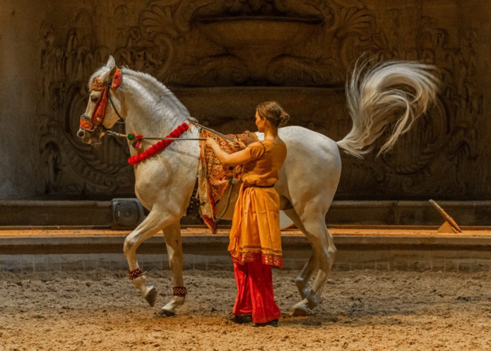 40 ans que le Musée Vivant du Cheval a été inauguré (©MVduC) 40 ans que le Musée Vivant du Cheval a été inauguré (©MVduC)