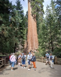 Parcs nationaux américains © Revamerica Tours Parcs nationaux américains © Revamerica Tours