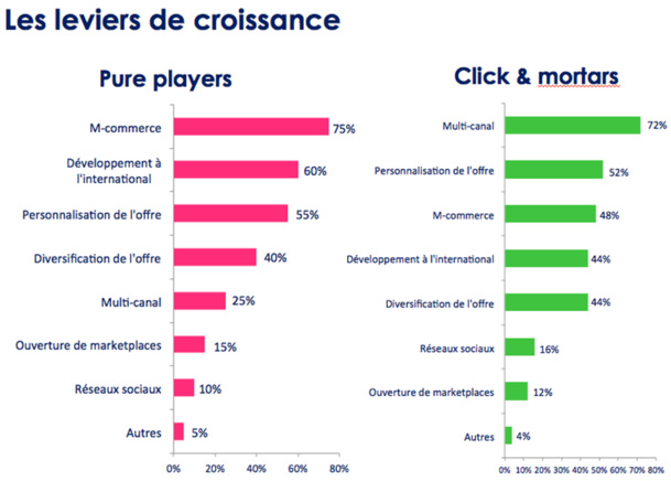 Etude CCM Benchmark pour Webloyalty : Pure Players vs Click & Mortars