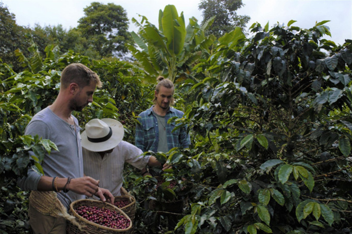 Région du Café. Finca El Ocaso. Photo Julian Madrid. Région du Café. Finca El Ocaso. Photo Julian Madrid.