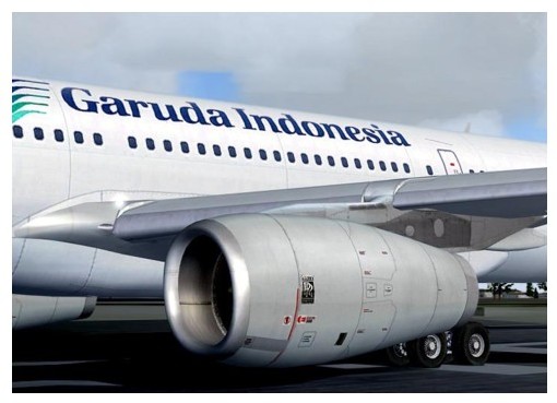Même Garuda, la compagnie nationale s'est retirée de la desserte européenne Même Garuda, la compagnie nationale s'est retirée de la desserte européenne