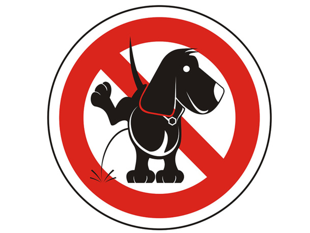 © Packelle - Fotolia.com © Packelle - Fotolia.com