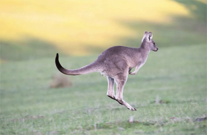 © Pixabay © Pixabay