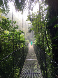 © ponts suspendus arenal - Aventura Costa Rica Tour