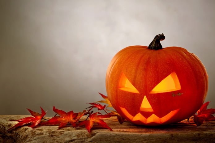 Halloween est l’occasion de découvrir dans l’Hexagone des maisons « habitées ». Frissons garantis… - DR : DepositPhotos.com, magone