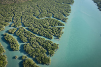 © Studio PONANT - Nick-Rains © Studio PONANT - Nick-Rains