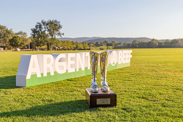 © Wendy Falour © Wendy Falour