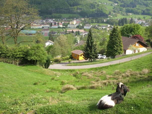 Une agence de voyages à 500 mètres d'altitude, c'est original - Photo DR Une agence de voyages à 500 mètres d'altitude, c'est original - Photo DR