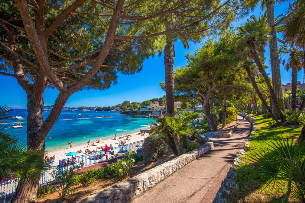 Où partir en décembre ? Promenade de la plage dans le village de Beaulieu-sur-mer avec palmiers, pins et eau claire azur © Eva Bocek - stock.adobe.com