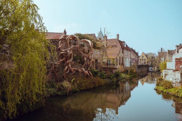 Une création Henrique-Oliveira-Banisteria-Caapi en 2021-cJasper-Van-het