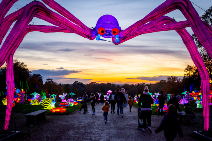 Un parcours de plus d'un kilomètre inclus dans l'entrée au zoo-safari (©Thoiry) Un parcours de plus d'un kilomètre inclus dans l'entrée au zoo-safari (©Thoiry)