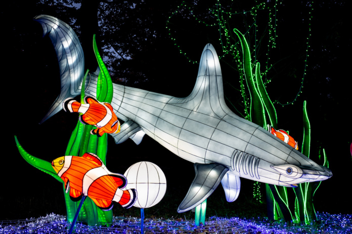 Thoiry lance sa saison hivernale avec la 5e édition des Lumières Sauvages Thoiry lance sa saison hivernale avec la 5e édition des Lumières Sauvages