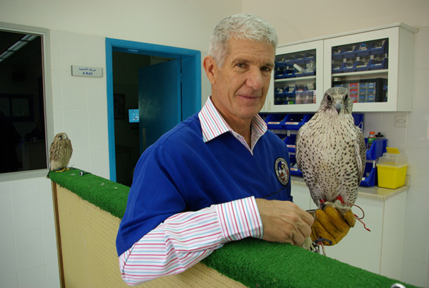 La fauconnerie fait partie de la culture dubaïote. Près de la tour Burj Khalifa, le Dubaï Falcon Hospital guérit les affections et soigne la forme des rapaces - DR