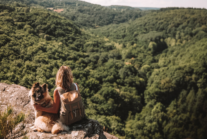 La Normandie, une destination dog-friendly La Normandie, une destination dog-friendly