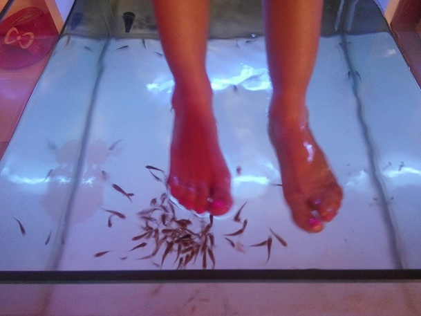 Au spa du Port de la Goulette, aux côtés du hammam traditionnel et des salons de massage, un "fish pedicure" - DR