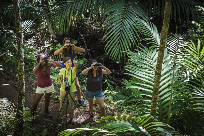 Caledonia Birds : Pour en savoir plus sur les Césars du Voyage Responsable cliquez sur l'image - DR Caledonia Birds : Pour en savoir plus sur les Césars du Voyage Responsable cliquez sur l'image - DR