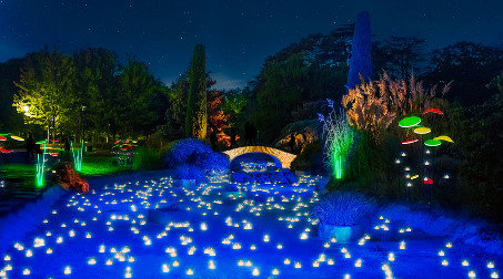 Projection des « Lumignons du Cœur (édition 2022) » © Ville de Lyon-Direction des événements-Fête des Lumières 2022 Projection des « Lumignons du Cœur (édition 2022) » © Ville de Lyon-Direction des événements-Fête des Lumières 2022