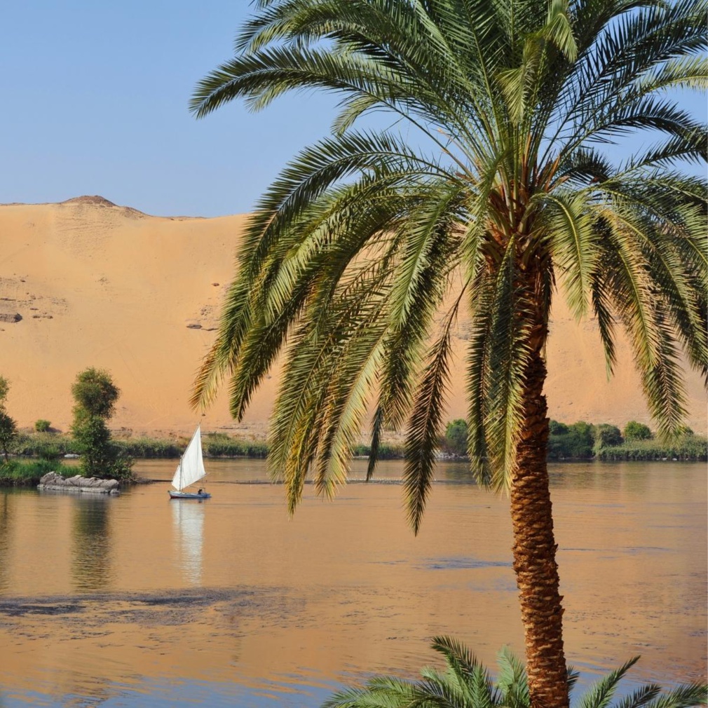 Assouan : A la découverte des vestiges Assouan : A la découverte des vestiges