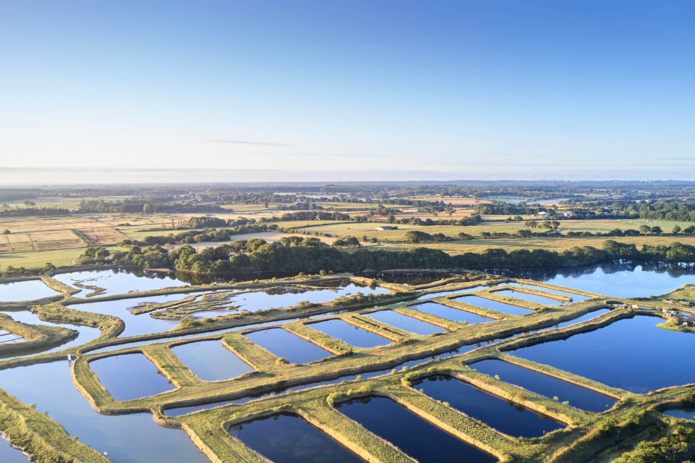 Les salines de la presqu'île de Guérande, territoire insoupçonné baulois (©OT Guérande)) Les salines de la presqu'île de Guérande, territoire insoupçonné baulois (©OT Guérande))