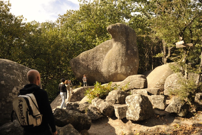 Agglomaration Sidobre Vals & Plateaux - Le Rocher de l'Oie (©OT Interco)