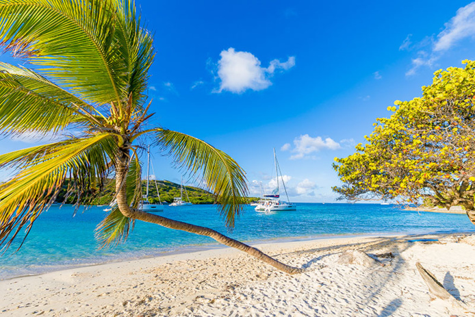 © Studio Distinction / FRAM © Studio Distinction / FRAM