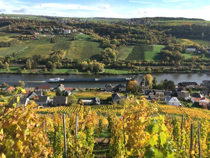 La vallée de la Moselle s'étend sur trois pays, la France, le Luxembourg et l'Allemagne © Paula Boyer.