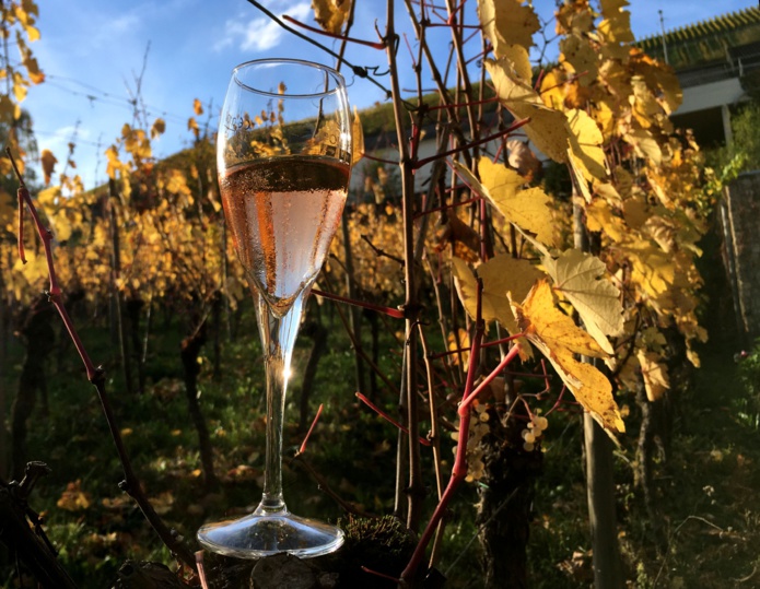 Depuis deux décennies, le Crémant de Luxembourg -blanc et rosé- a le vent en poupe. ©Paula Boyer Depuis deux décennies, le Crémant de Luxembourg -blanc et rosé- a le vent en poupe. ©Paula Boyer