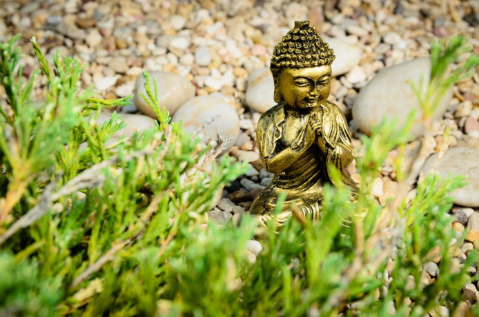 Les religions asiatiques estiment que l’homme n’occupe aucune place prépondérante dans la nature. Il n’est qu’une créature vivante parmi l’ensemble de la chaîne du vivant. - Depositphotos.com Auteur Dirima Les religions asiatiques estiment que l’homme n’occupe aucune place prépondérante dans la nature. Il n’est qu’une créature vivante parmi l’ensemble de la chaîne du vivant. - Depositphotos.com Auteur Dirima