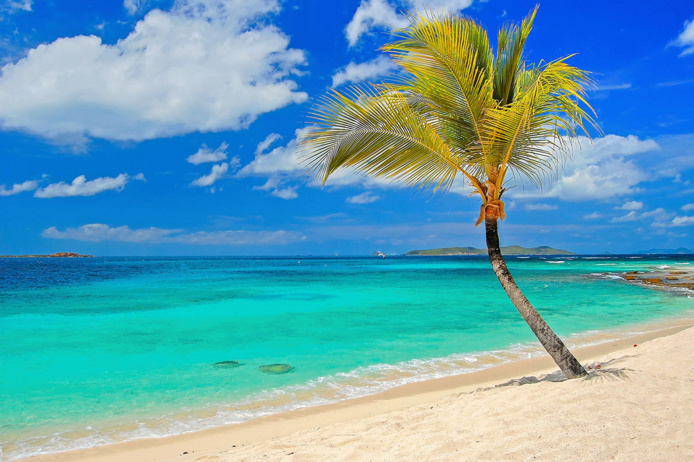 © Studio Distinction / FRAM © Studio Distinction / FRAM