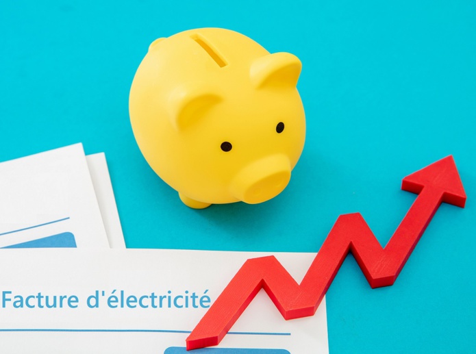 L'Etat français met en place à bouclier tarifaire sur l'électricité pour les TPE - Depositphotos @gioiak2
