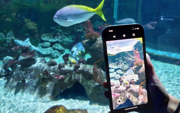 Une application de reconnaissance des poissons au Sea Life (©Sealife) Une application de reconnaissance des poissons au Sea Life (©Sealife)